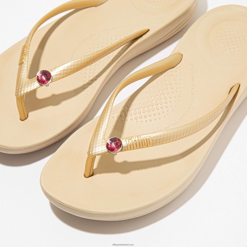 iqushion bedels kristallen ronde bedels 2-pack vrouwen Fitflop F4BXJ827 fuchsia roos